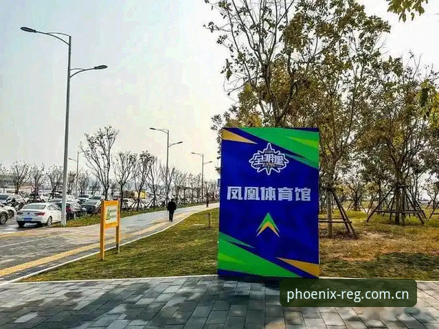 凤凰体育APP注册问题深度评测：2025年版本更新后的解决方案与体验报告
