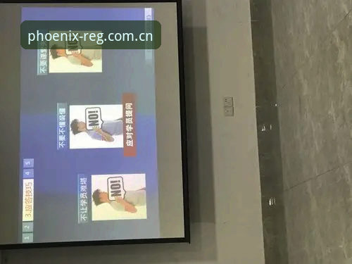 资深用户深度分享：凤凰体育APP安卓版的使用心得与实战经验